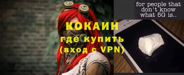 индика Красноперекопск
