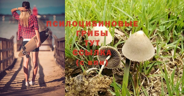 индика Красноперекопск